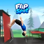 Play Flip Spot