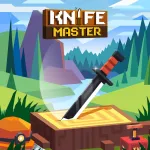 Play Knife Master