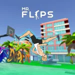 Play Mr Flip