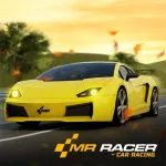 Play MR RACER