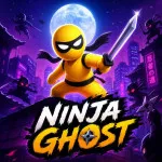 Play Ninja Ghost now!