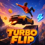 Play Turbo Flip