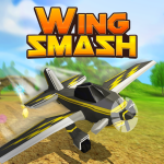 Play Wings Smash