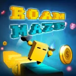 Play Roam Maze